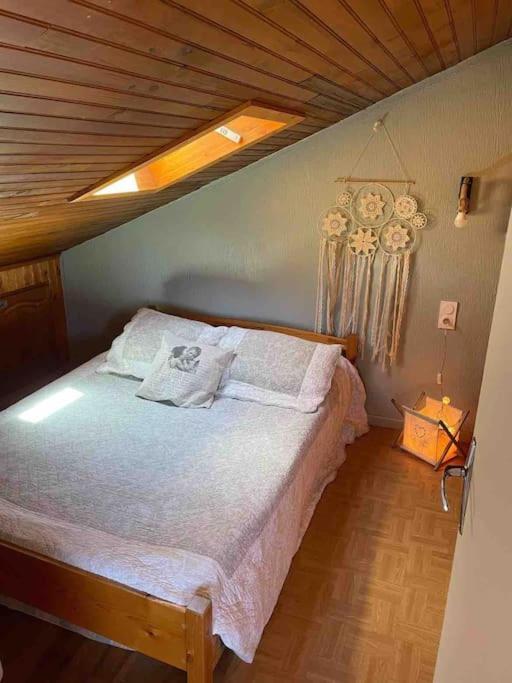 Chalet Cosy-Vue Sur La Montagne & Montgolfieres Саяґуз Екстер'єр фото